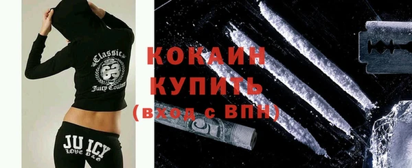 тгк Каменка