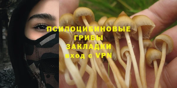 тгк Каменногорск