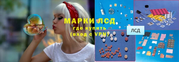 тгк Каменногорск