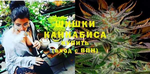 тгк Каменногорск