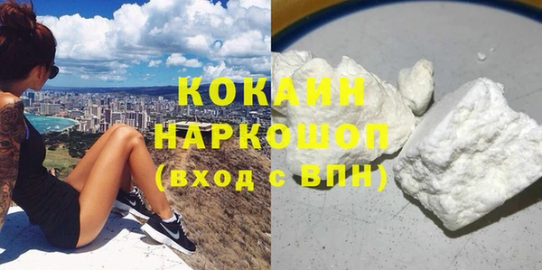тгк Каменка