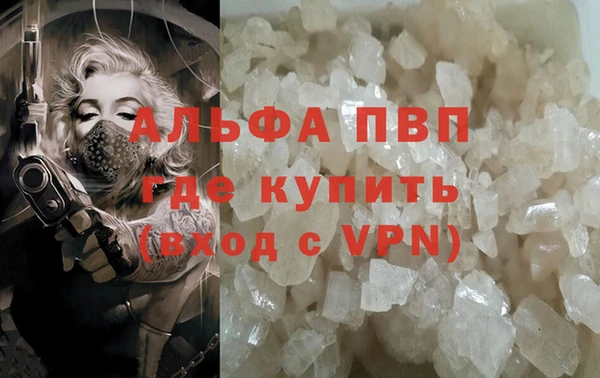 тгк Каменка