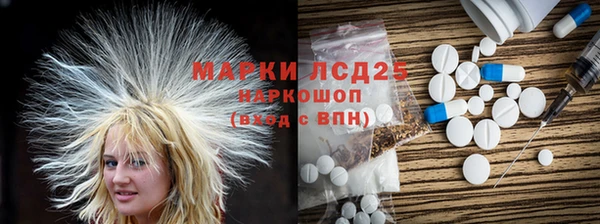 тгк Каменногорск