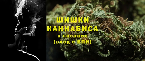 тгк Каменногорск