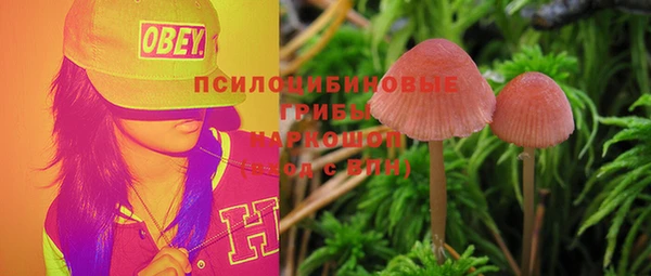 тгк Каменка