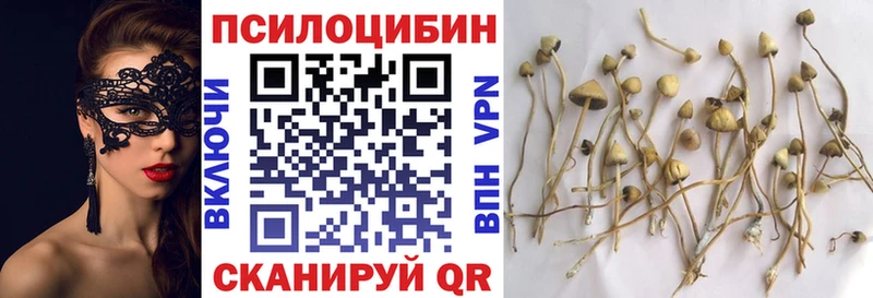 Купить закладки  Назарово  Псилоцибиновые грибы ЛСД 